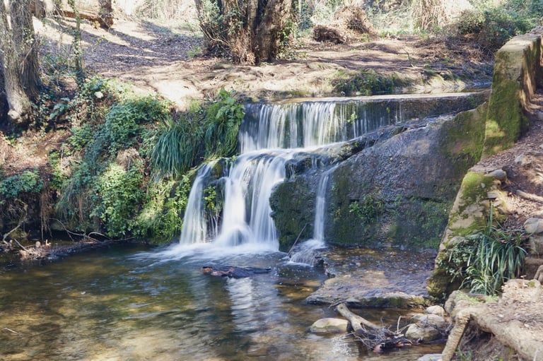 Una cascada en el interior del bosque.