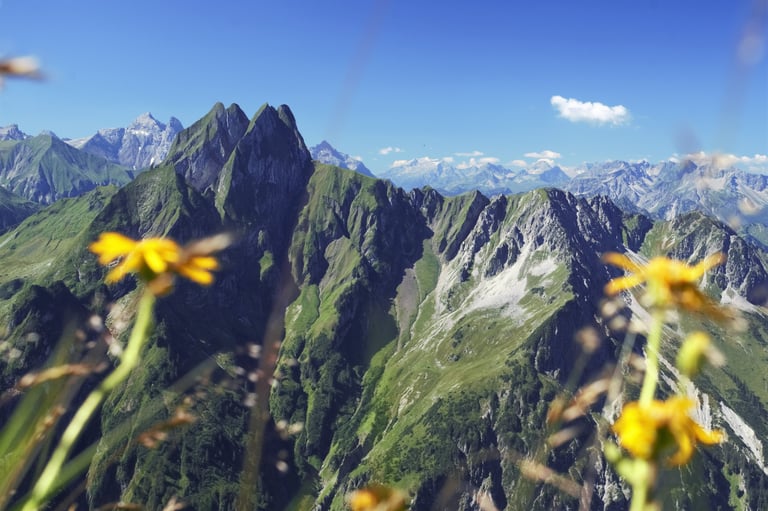 Höfats Sonne berge Arnika im Vordergrund Wolken