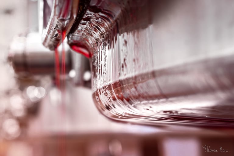 photographie vinification surface vin matière vivante Éléonore Parc photographe d’art Bourgogne