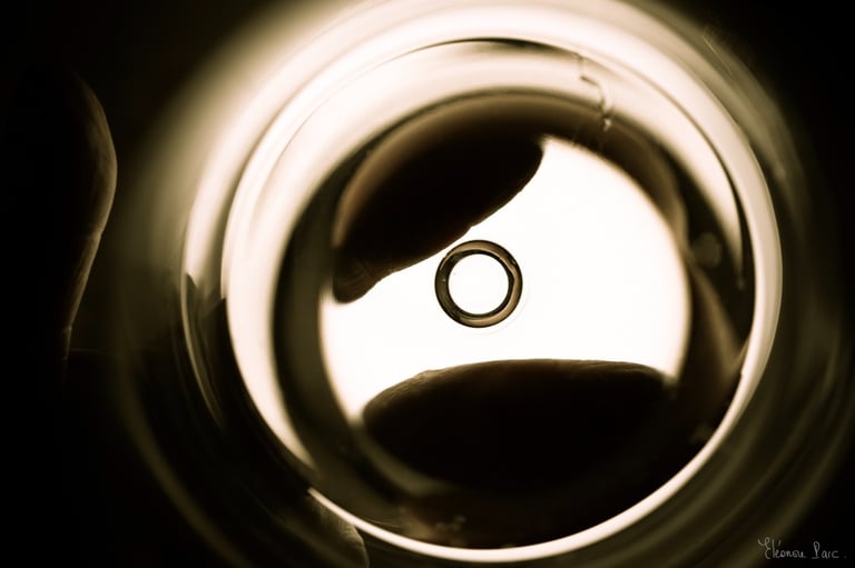 Vue intérieure d’un verre avec trois doigt qui soutiennent le verre