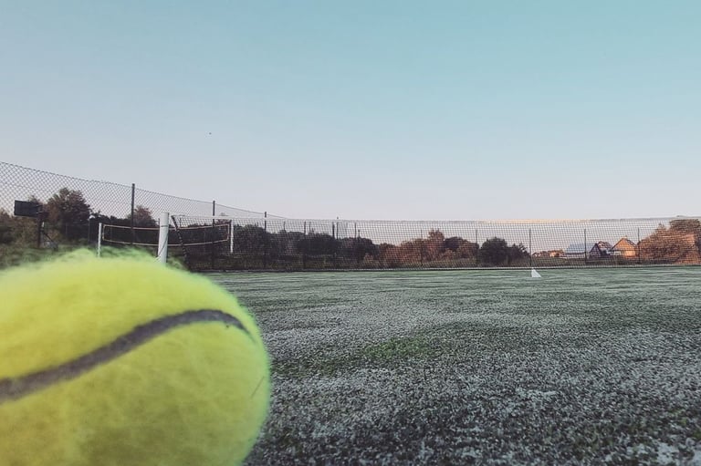 Meda house sodybos nuoma 70