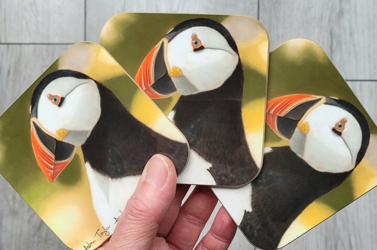 Atlantic puffin coasters by Alan Taylor Art