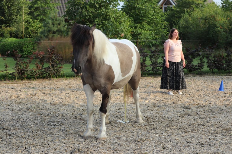een bruin en wit paard die met zijn rug staat naar een vrouw in een rok
