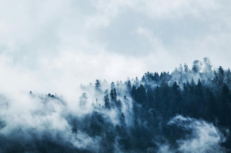 Scenic Norwegian fjords with mountains and water