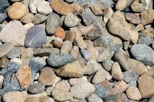 Paillage avec des cailloux 