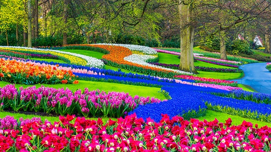 Parque de flores, De Keukenhof