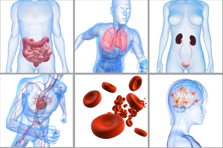 énergéticienne quantique