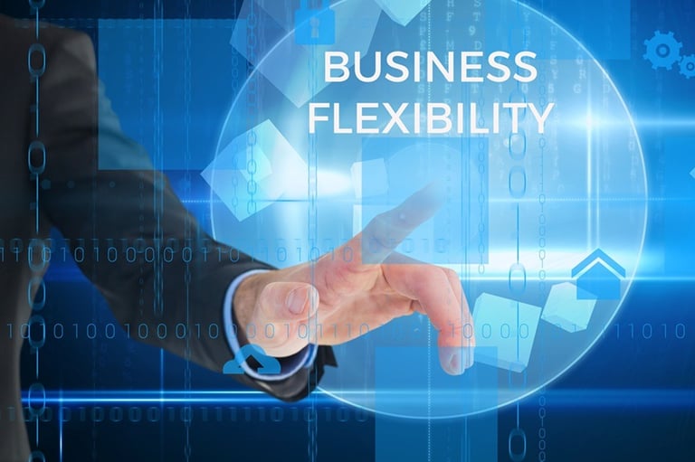 Flexible business solutions