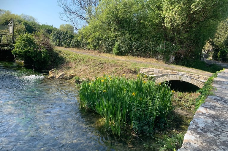 Upstream view of River Wey near the ford at Mill Street Upwey