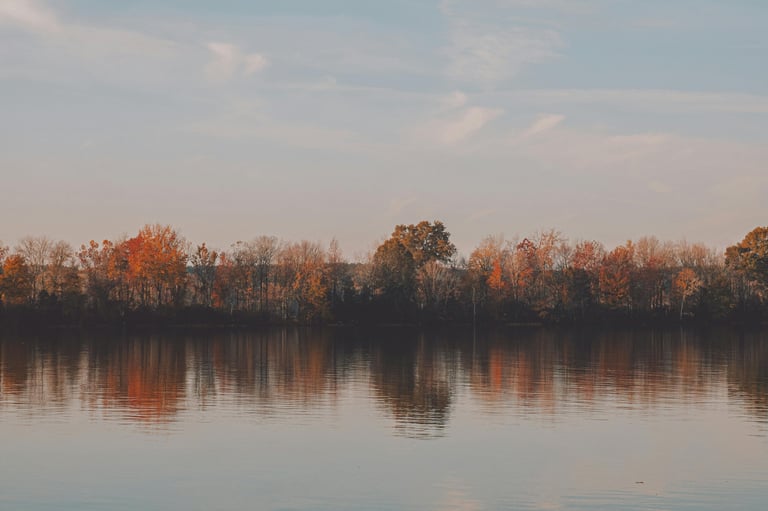 Slow living journal scene of a late summer landscape with fading light