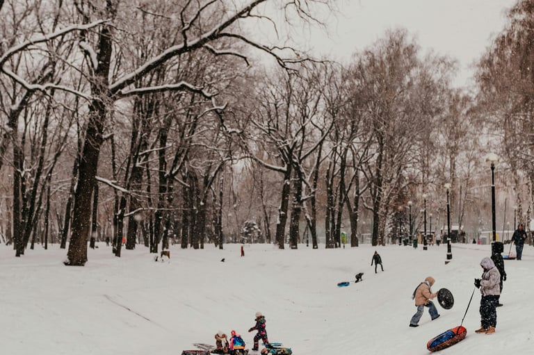 Slow living journal scene of people walking through a snowy park path