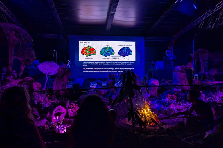 A presentation screen shows brain scans comparing psilocybin and Ritalin effects at an immersive event with a campfire.