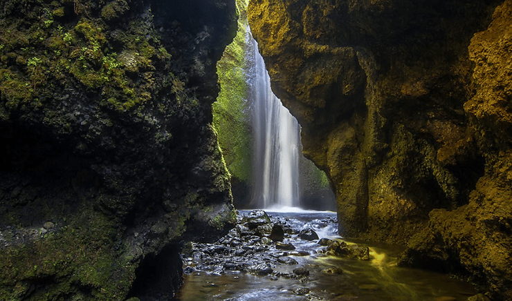 Nauthúsagil – A Mossy Wonderland