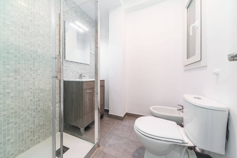 Modern bathroom with shower and bidet, Anne apartment San Sebastian