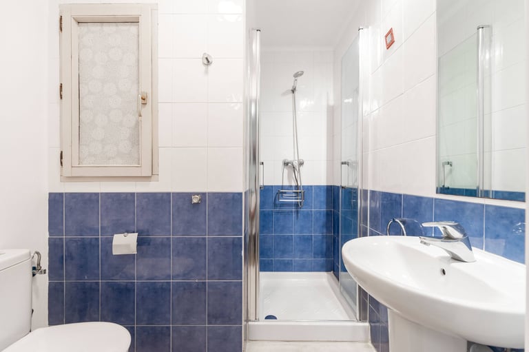 Second bathroom with shower, Anne apartment San Sebastian