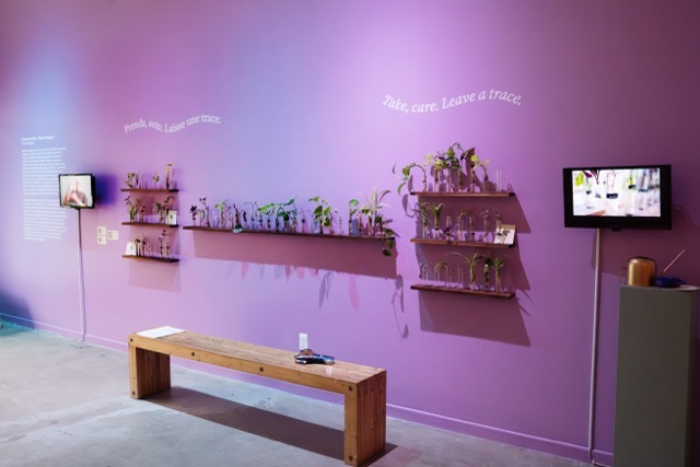 Wide view of wall text “take care leave a trace” with propagation tubes holding plant cuttings.