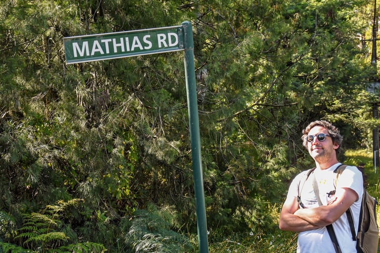 A beautiful hike in the Dandenong Ranges - the beginning of the track