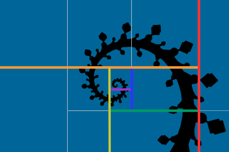 graphic of a black vine curling inward with multicolor mapping lines on a midnight blue background