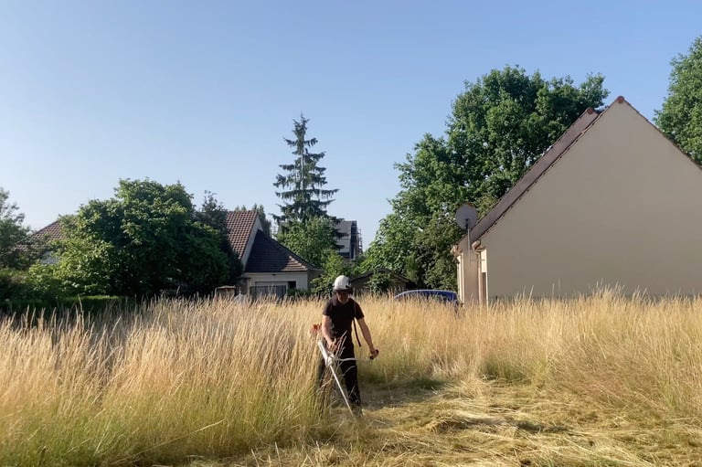Débroussaillage à Soisy-sur-Seine et aux alentours.