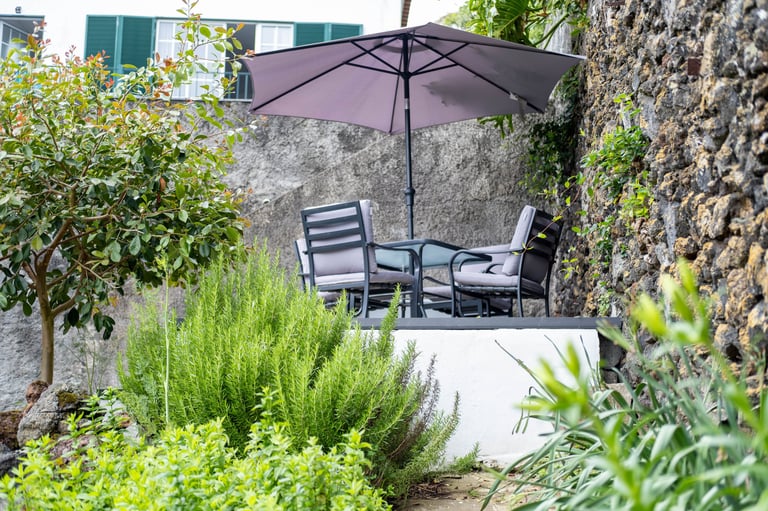 Quinta Sao Roque garden