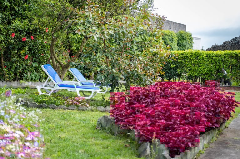 Quinta Sao Roque garden