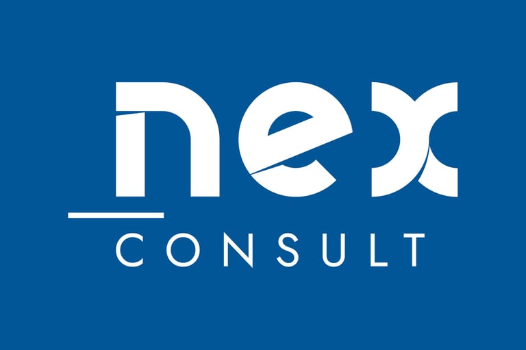 NexConsult consulenza per persone aziende e professionisti