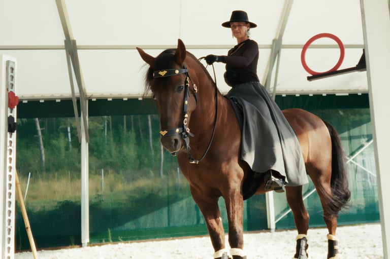 chapskirt by equimovex skirt for horse riding