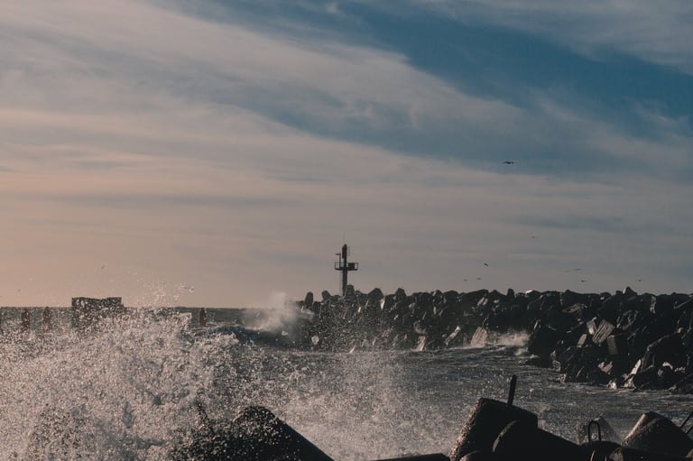 Viktorijos Šaulytės nuotrauka