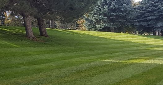 Professionally mowed, striped lawn