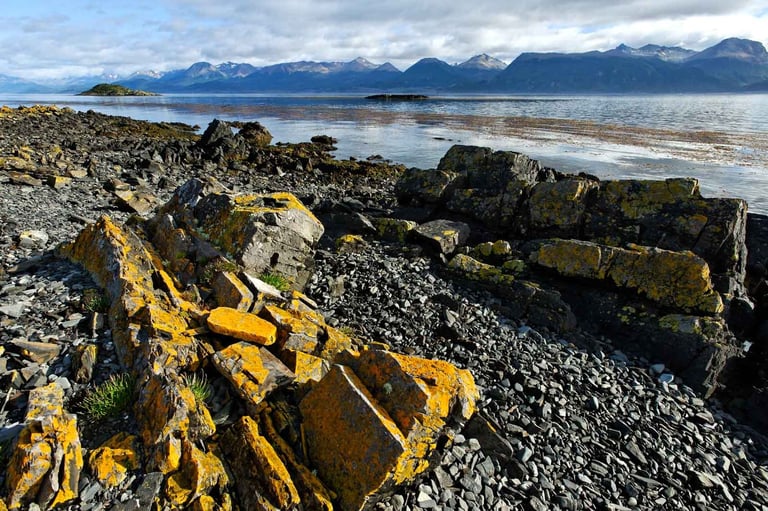 Un paysage de roches en Patagonie