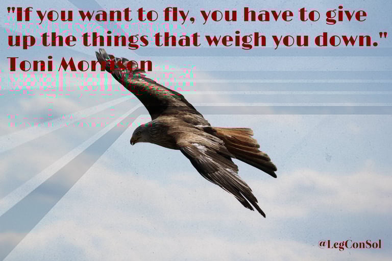 If you want to fly, you have to give up the things that weigh you down. Toni Morrison