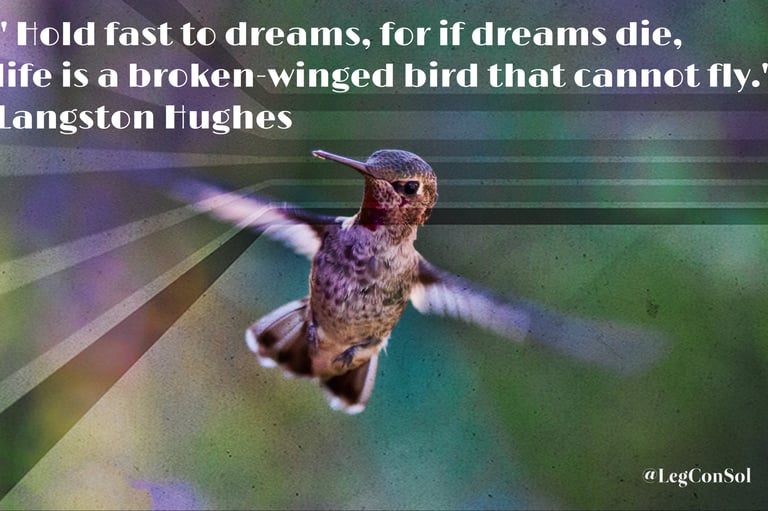 Hold fast to dreams, for if dreams die, life is a broken-winged bird that cannot fly. Langston Hug