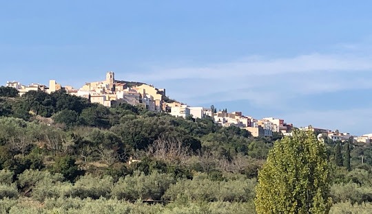 Vista del pueblo de Sant Jordi rodeado de naturaleza
