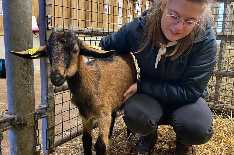 Ostéopathie animale chez les animaux de la ferme