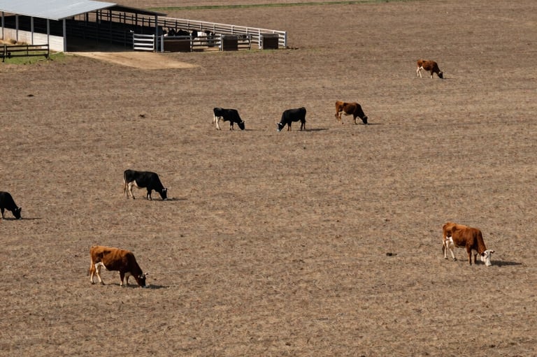 gray concrete wall inside building