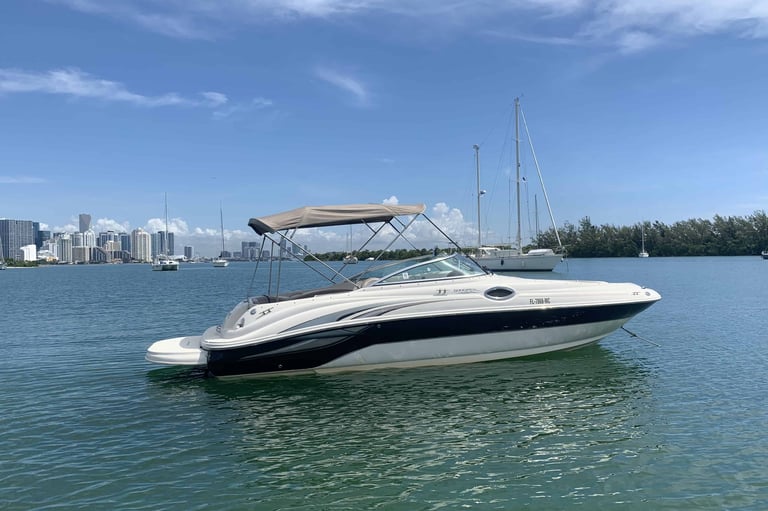 Sea Ray Sundeck Miami boat charter