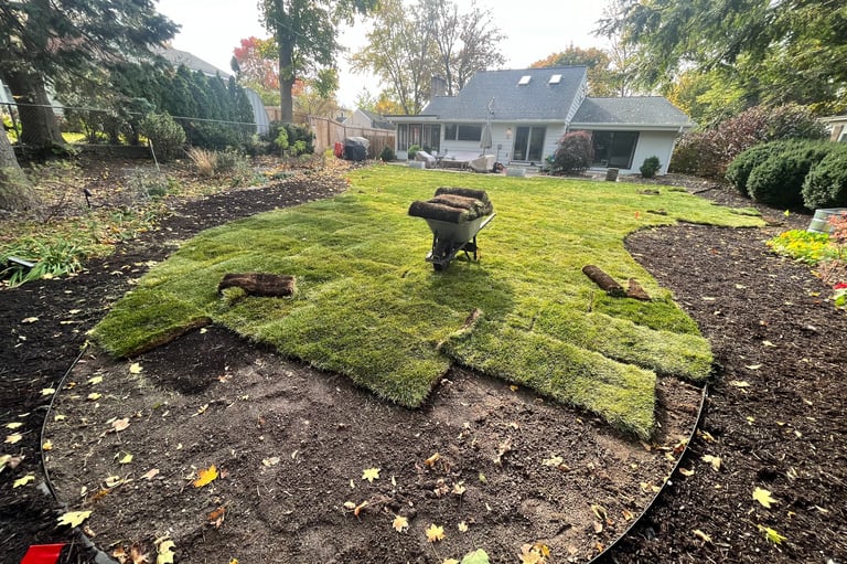 Fresh green sod installation in a residential backyard with a wheelbarrow on new grass.