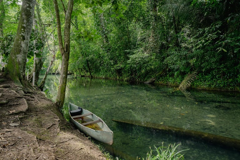 Natura nei dintorni di San Ignacio in Belize
