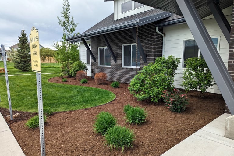 landscaping in front of a commercial building