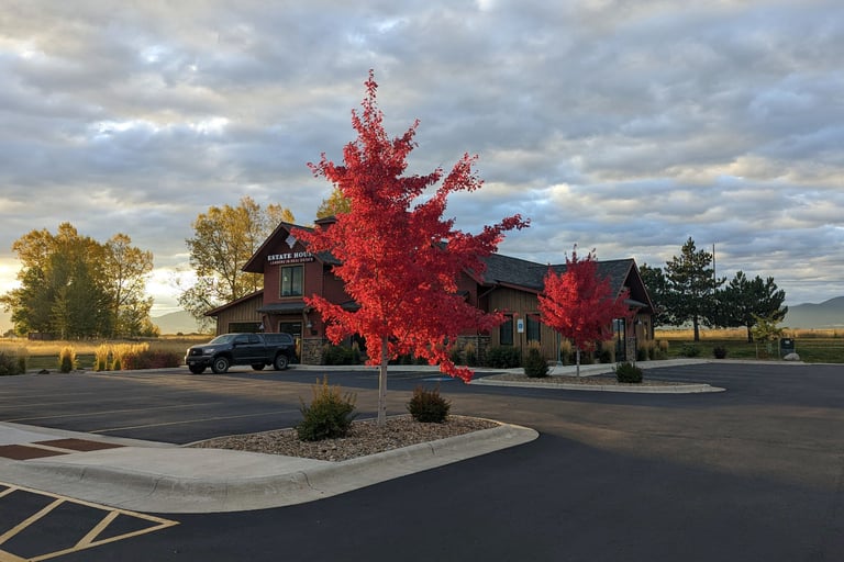 a red tree in a parking lot with a truck parked in front of it