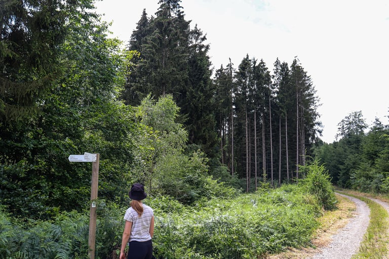Escarpardenne Eisleck wandelroute