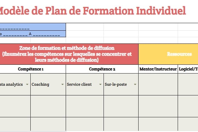 modele Plan de formation individuel exemple