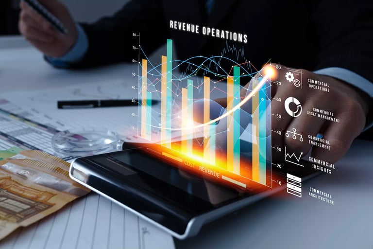 patrimoine, dissimulation de revenus, insolvabilité