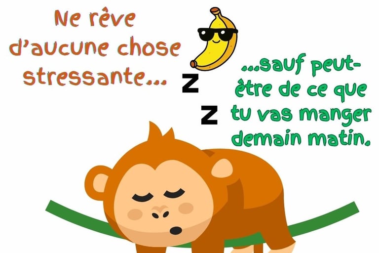 image bonne nuit a demain humour animaux