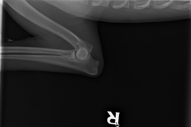 right elbow scoring 