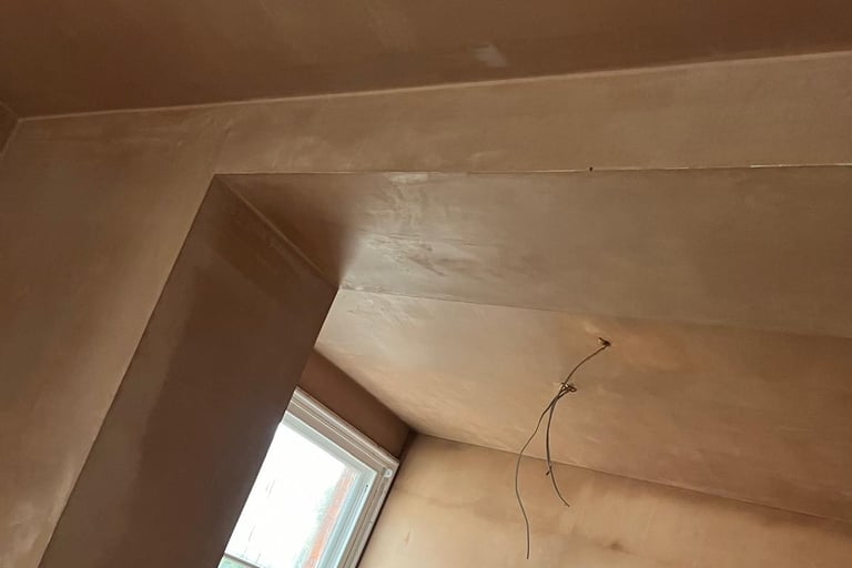 PLOASTERED CEILING BY D AND N