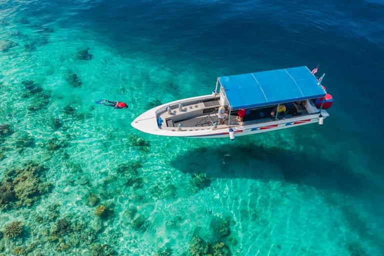 Snorkeling at Mabul