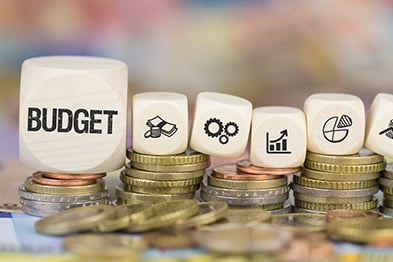 a bunch of coins and a dice with the word budget