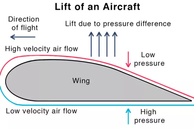 bernoulli's principle
