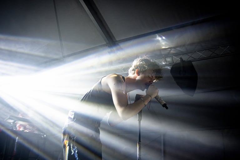 Mehringer Concert Image by Vass Gergo